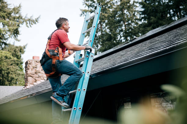 Best Emergency Roof Repair Services  in Hinckley, IL